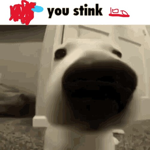 stinky doggo