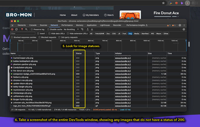bro-mon-image-loading-issues-steps-3