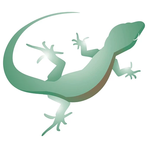 art-illustration-lizard-cnemidophorus-ocellifer-600nw-7607230