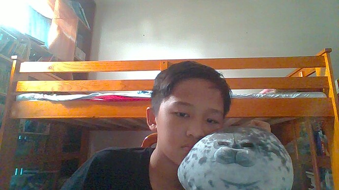 Photo-1