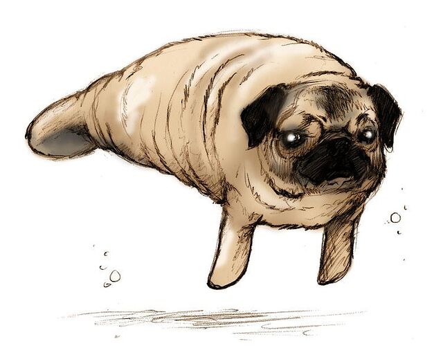 Pug Seal
