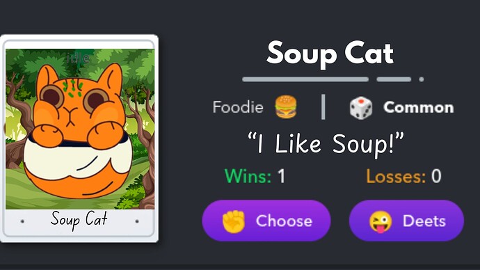 Soup Cat (1)