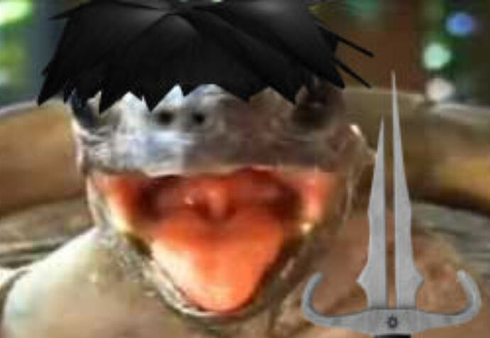 turtle time