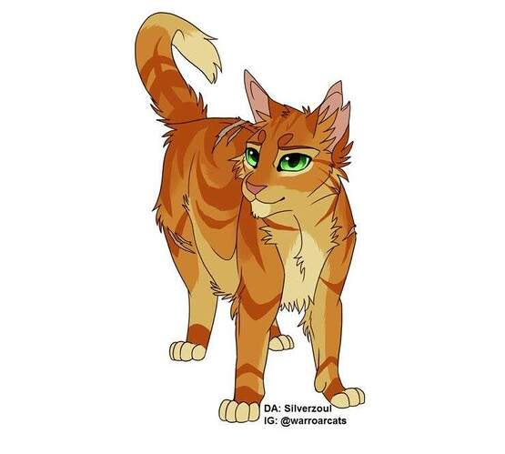 62b9e1805822bbcc839e6a0223ddc66c-740x666