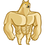 :swole_doge: