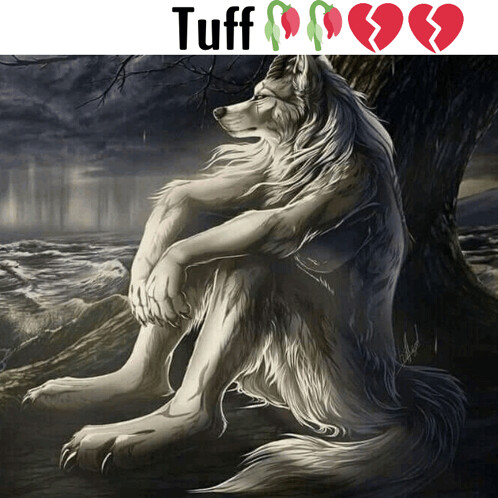 so-tuff
