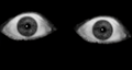 Screenshot 2026-07-14 9.03.59 PM