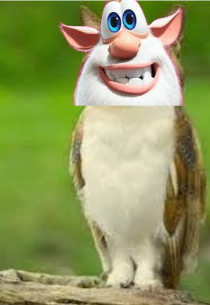 Screenshot 2025-11-10 3.16.02 PM