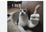 Screenshot 2025-10-05 3.23.42 PM