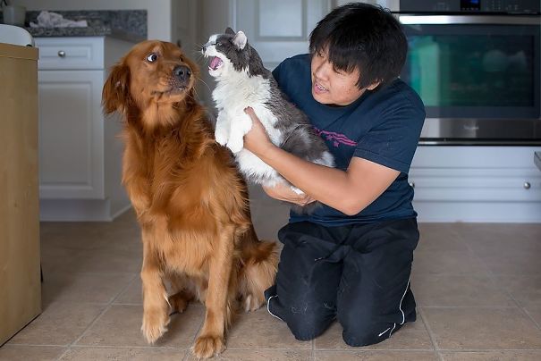 Scared-Of-Cats-The-expressions-of-both-their-faces-said-it-all-08