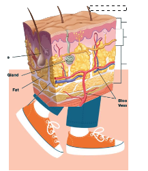 Screenshot 2025-10-05 3.29.19 PM