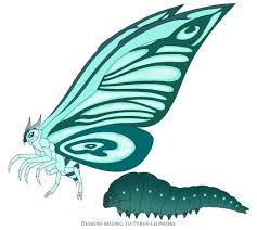 images (7)
