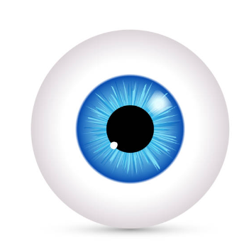 Screenshot 2024-11-12 183156