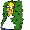 :homer-simpson-bushes:
