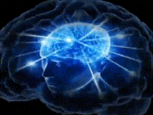 brain