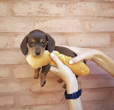images (9)