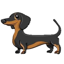 daushund