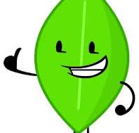 Leafy | Character-community Wiki | Fandom