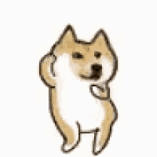 doggo-doge