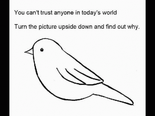 RickRollBirdGIF