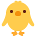 front_facing_baby_chick