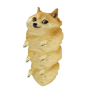 doge