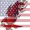 America_Phoenix America_Phoenix