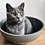 Bowl_Cat Bowl_Cat