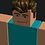 budget_steve
