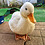 DUCK101