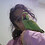 Eknoor_Kaur