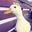 goose_kaca