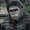 ilovemonkeys