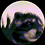 Jack_Stone