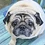 Pugzilla Pugzilla